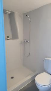 a white bathroom with a shower and a toilet at Kamaraki Grande Aroniadika in Kythira