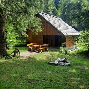Cabaña de madera con mesa de picnic y banco en Koča v gozdu en Bled