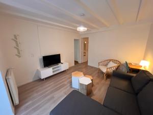 Televízia a/alebo spoločenská miestnosť v ubytovaní Appartement RDC 9 personnes, 2 chambres, wifi, proche du centre