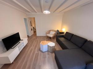 Televízia a/alebo spoločenská miestnosť v ubytovaní Appartement RDC 9 personnes, 2 chambres, wifi, proche du centre