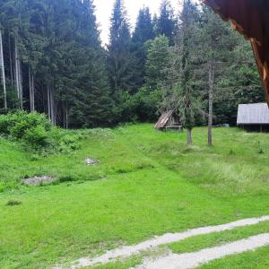 Příroda nedaleko apartmánu