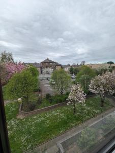 a view from a window of a park with flowering trees at Ali's Flat in London