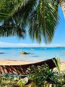 uma vista para a praia de debaixo de uma palmeira em Tamarin Lodge em Ampangorinana