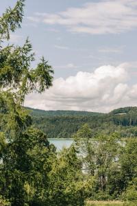 uma vista para um lago a partir de uma floresta em Blyb Hotel em Gmund am Tegernsee