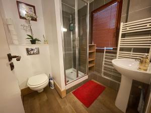 a bathroom with a shower and a toilet and a sink at Les Balcons de Bellevarde in Val dʼIsère