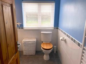 a bathroom with a toilet with a wooden seat at Caerhafod Nanternis in Llanllwchaiarn