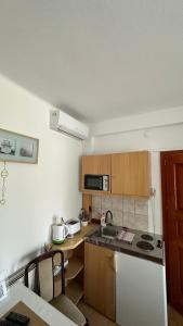 Kuchyňa alebo kuchynka v ubytovaní Apartman Danka