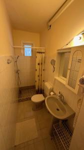 Kúpeľňa v ubytovaní Apartman Danka
