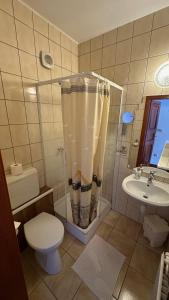 a bathroom with a shower and a toilet and a sink at Apartman Danka in Bük