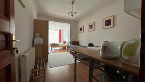Kuchyňa alebo kuchynka v ubytovaní Apartman Danka + 28 fotografií
