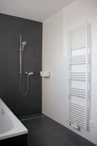 a bathroom with a shower and a sink at Fewo-Exklusiv "Seeblick" in Großräschen