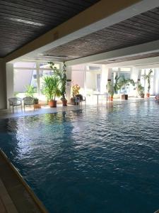 Swimmingpoolen hos eller tæt på Ferienwohnung mit Schwimmbad und Gartenblick