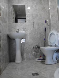 a bathroom with a sink and a toilet at GTNL Aparthotel in Tbilisi City