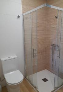 y baño con aseo y ducha acristalada. en Casa MENDEZ - ALLARIZ, en Ourense