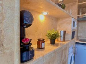 una encimera de cocina con cafetera y plantas. en Le Spa Dijonnais, en Dijon