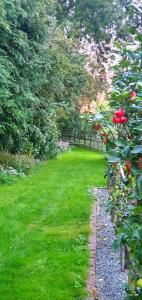 a garden with red roses and a grass yard at Well Cottage Country Accommodation in Brockley Green