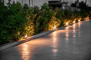 a row of plants with lights on a sidewalk at Acacia - Explore your senses in Preveza
