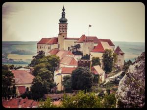 Příroda nedaleko apartmánu
