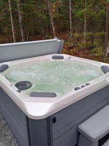 a jacuzzi bath tub with green water in it at The Mendon House home in Killington