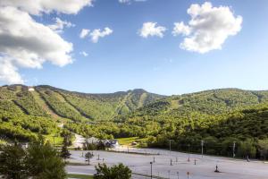 einen Skatepark vor einem Berg in der Unterkunft Mountain Green Condos at Killington in Killington