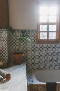 a bathroom with a tub and a potted plant at Casa Muna in El Cercado