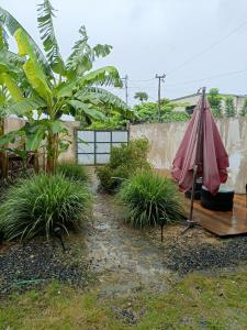 un jardin avec un parasol et quelques plantes dans l'établissement Hostel Sao Gabriel, à São Tomé