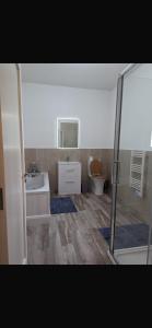 a bathroom with a shower and a sink and a toilet at Rokeby cottage in Drogheda