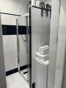 a bathroom with a shower and a stack of towels at Apartament Leonardo in Bolesławiec