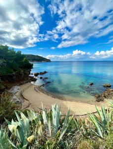 a beach with a view of the ocean at Music House Palinuro in Palinuro