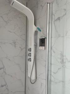 ベルク・シュル・メールにあるCOCOON BERCKOIS 250M DE LA PLAGE + WIFI + PARKING PUBLICのバスルーム(シャワー、シャワーヘッド付)が備わります。