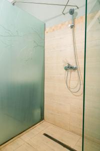 a shower with a glass door in a bathroom at Casa Thea Cheile Nerei in Socolari