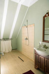 a bathroom with a shower and a sink at Casa Thea Cheile Nerei in Socolari