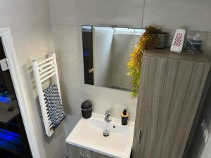 La salle de bains est pourvue d'un lavabo et d'un miroir. dans l'établissement 't Pothuuske, à Ruurlo