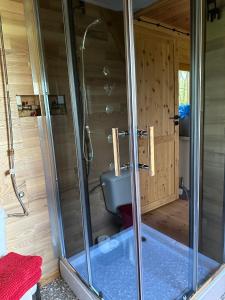 a bathroom with a shower with a toilet in it at Domki nad rzeką Ełk in Prostki