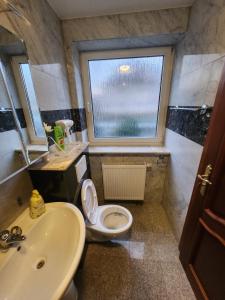 a bathroom with a sink and a toilet and a window at Pension Einzelzimmer mit extra bad Zimmer 15 in Nuremberg