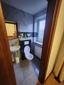 a bathroom with a toilet and a sink at Pension Einzelzimmer mit extra bad Zimmer 15 in Nuremberg