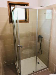 a shower with a glass door in a bathroom at Kingfisher- Principe in Santo António