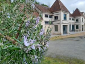 a bunch of purple flowers in front of a house at Hôtel des arts - Gîte Littérature dans le Perche - Spa in Rémalard