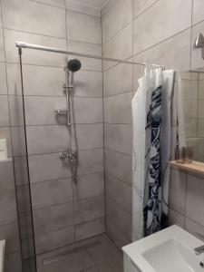 a bathroom with a shower and a sink at Apartament Aleja Lipowa in Górki Wielkie