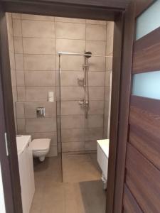 a bathroom with a shower and a toilet and a sink at Apartament Aleja Lipowa in Górki Wielkie
