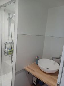 a bathroom with a white sink and a shower at Coté Golfe - Golfe du Morbihan in Sarzeau