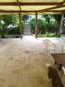 a dog standing next to a table and a bench at יחידה במקום שקט ליד פארק הקישון in Qiryat H̱aroshet