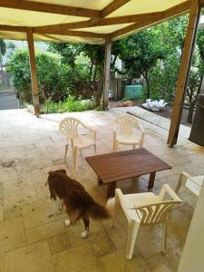 a dog standing next to a table and chairs at יחידה במקום שקט ליד פארק הקישון in Qiryat H̱aroshet