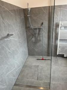 La salle de bains est pourvue d'une douche avec une porte en verre. dans l'établissement City Apartment, à Bad Sassendorf