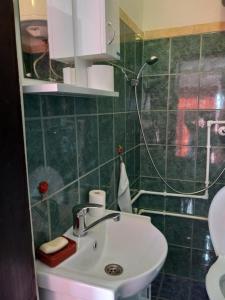 Koupelna v ubytování Apartman SANI