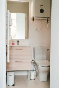 een badkamer met een toilet, een wastafel en een raam bij ô Quai St Pierre in Toulouse