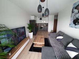 a living room with a couch and a tv at Apartament Number 2 NOVA WOZOWNIA Free Parking in Leszno