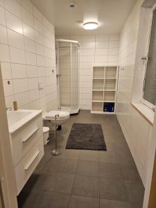 a bathroom with a shower and a toilet and a sink at Solvoll in Tønsberg