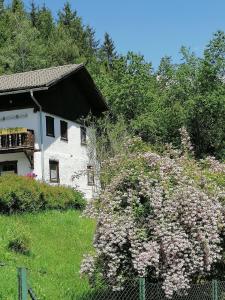 uma casa com uma árvore florida em frente em Ruhig am Waldrand gelegene Wohneinheit em Innsbruck