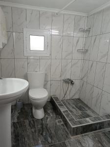 a bathroom with a toilet and a sink at Ξενώνας in Nea Kallikrateia